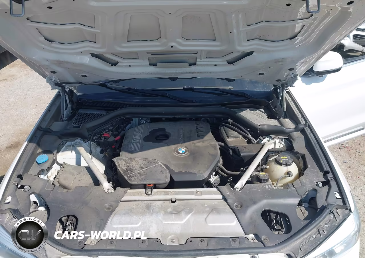 2019 BMW X3 Sdrive30I VIN:5UXTR7C57KLF37258 - 10