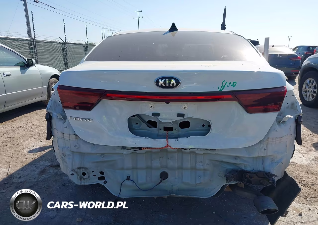 2021 Kia Forte Lxs VIN:3KPF24AD3ME392448 - 17