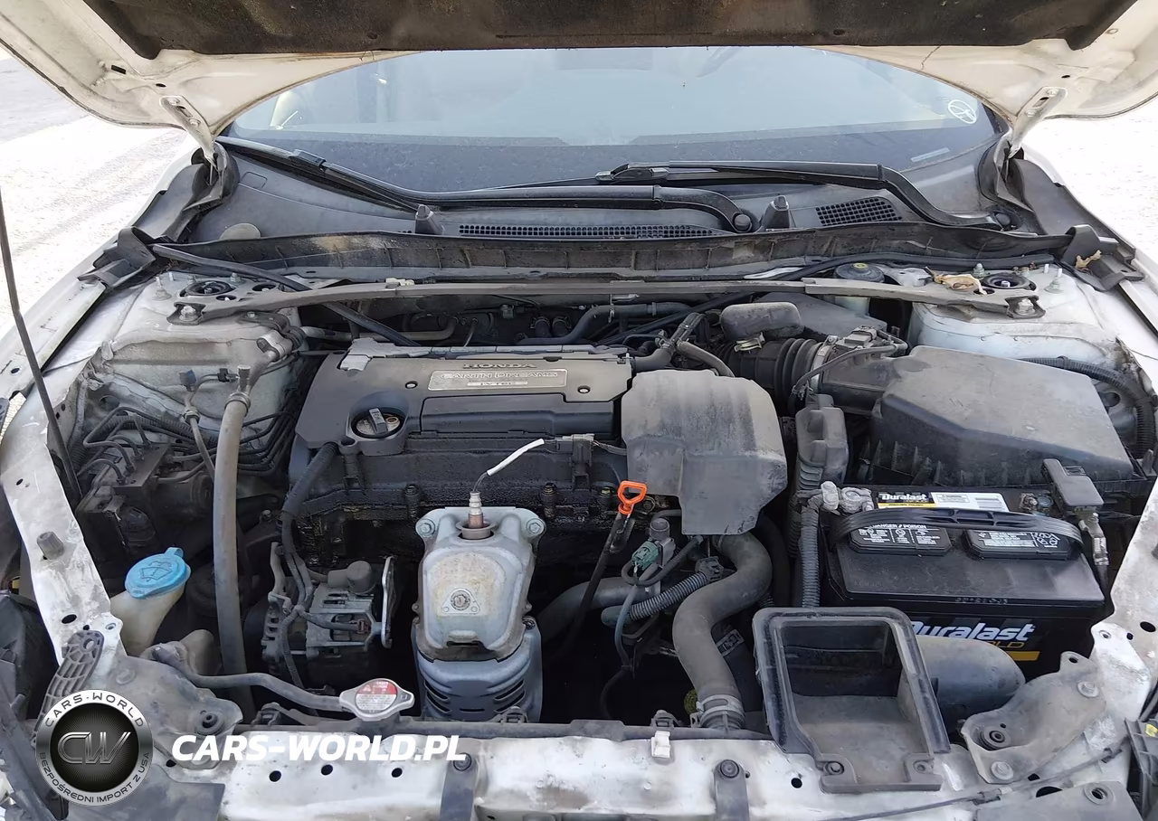 2013 Honda Accord Ex-L VIN:1HGCR2F87DA048088 - 10