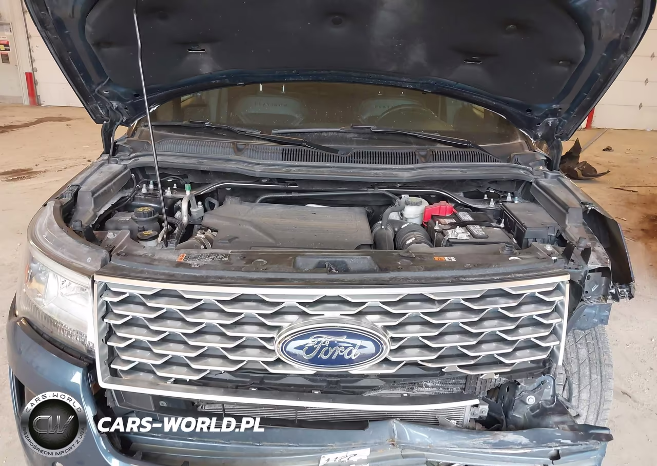 2019 Ford Explorer Platinum VIN:1FM5K8HT7KGA71196 - 10