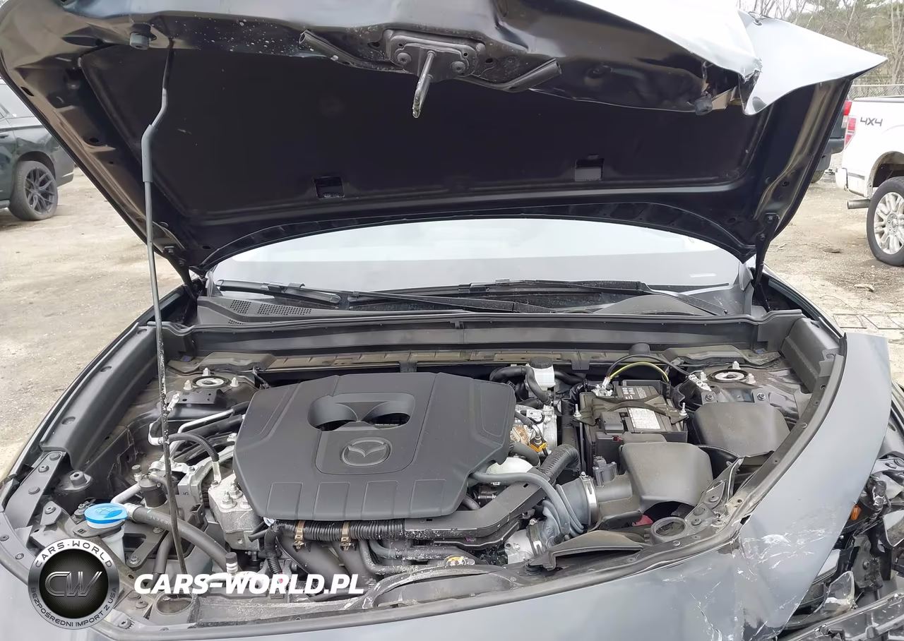 2024 Mazda Cx-30 2.5 S VIN:3MVDMBAM8RM670102 - 10