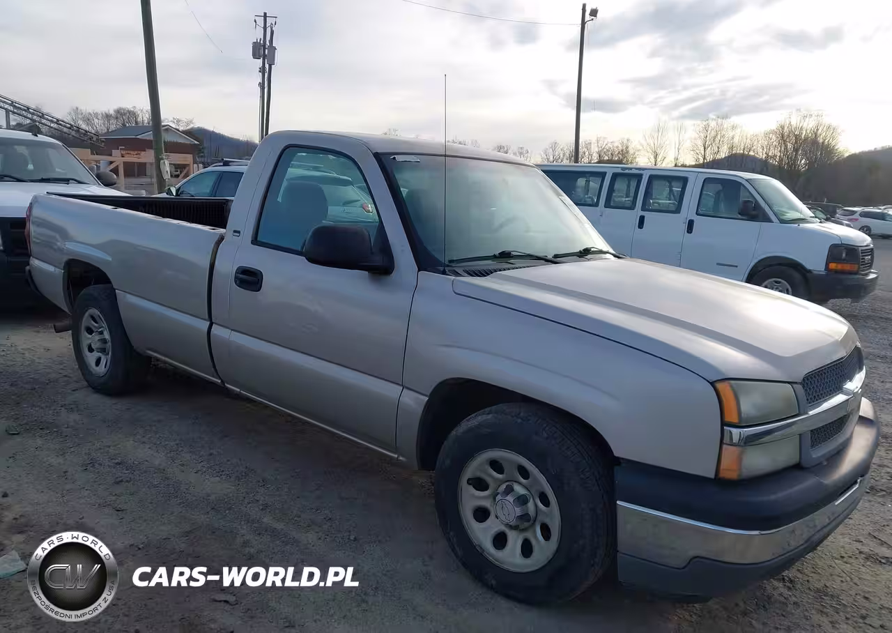 2005 Chevrolet Silverado 1500 Work Truck