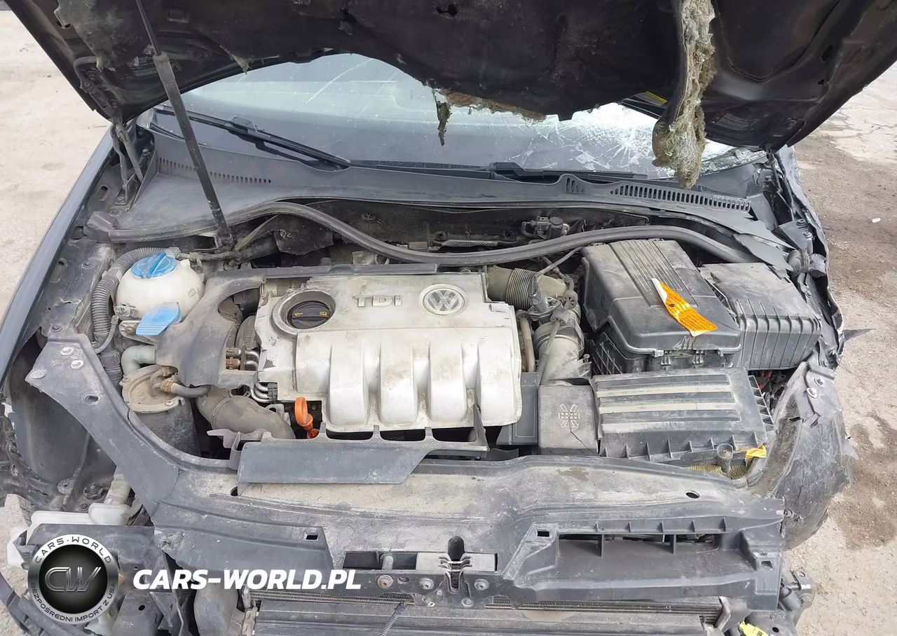 2006 Volkswagen Jetta Tdi VIN:3VWST71K56M041851 - 10