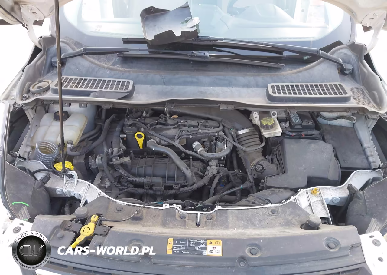 2014 Ford Escape Se VIN:1FMCU9GX7EUE14428 - 10