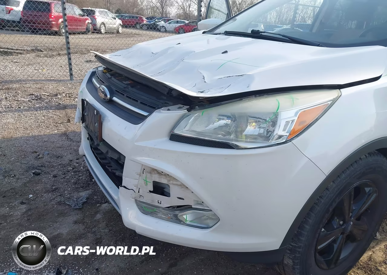 2014 Ford Escape Se VIN:1FMCU9GX7EUE14428 - 13