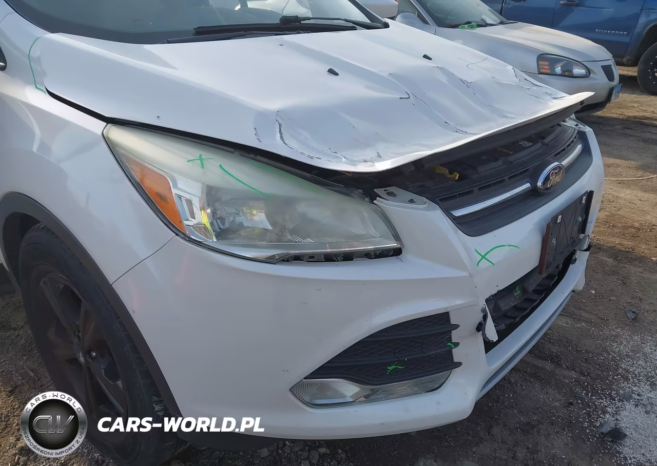 2014 Ford Escape Se VIN:1FMCU9GX7EUE14428 - 14