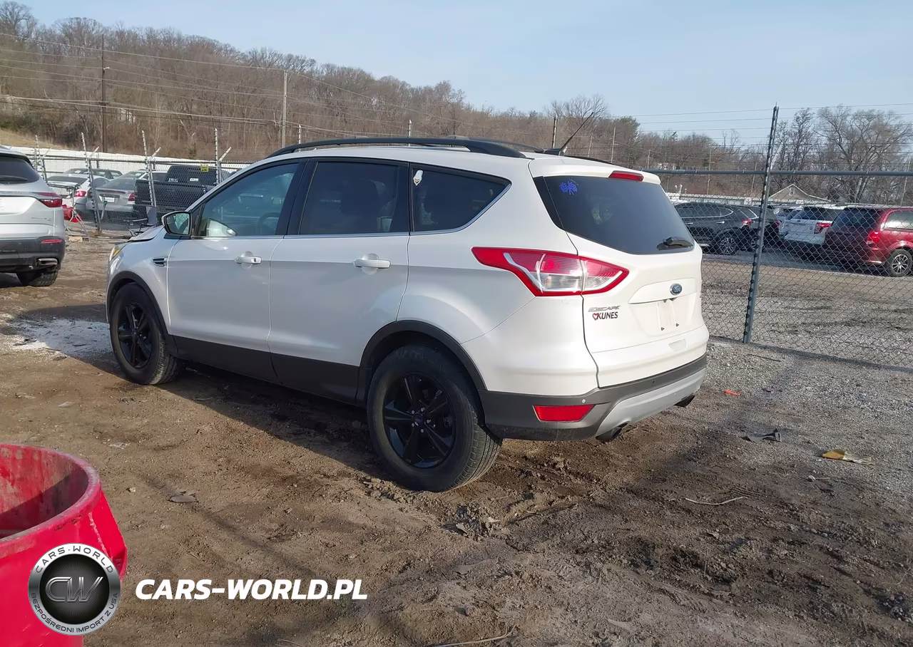 2014 Ford Escape Se VIN:1FMCU9GX7EUE14428 - 3