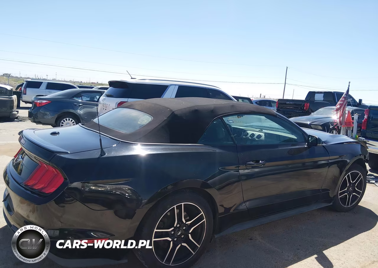 2020 Ford Mustang Ecoboost Premium VIN:1FATP8UH1L5119874 - 13