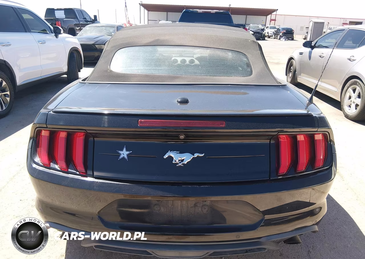 2020 Ford Mustang Ecoboost Premium VIN:1FATP8UH1L5119874 - 16