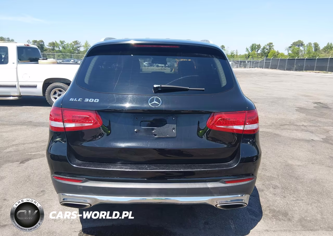 2016 Mercedes-Benz Glc 300 VIN:WDC0G4JB3GF011286 - 16
