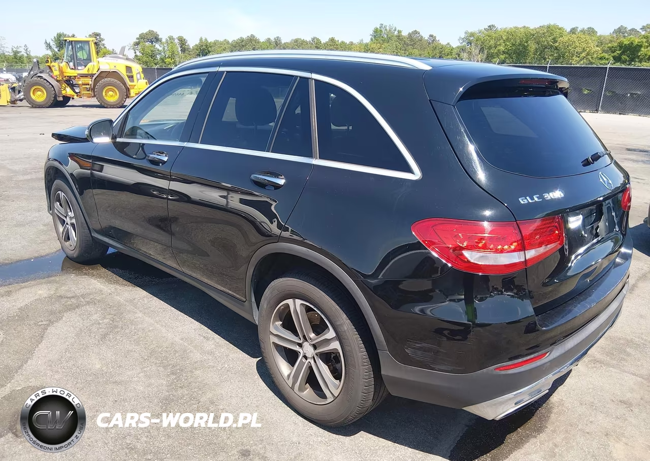 2016 Mercedes-Benz Glc 300 VIN:WDC0G4JB3GF011286 - 3
