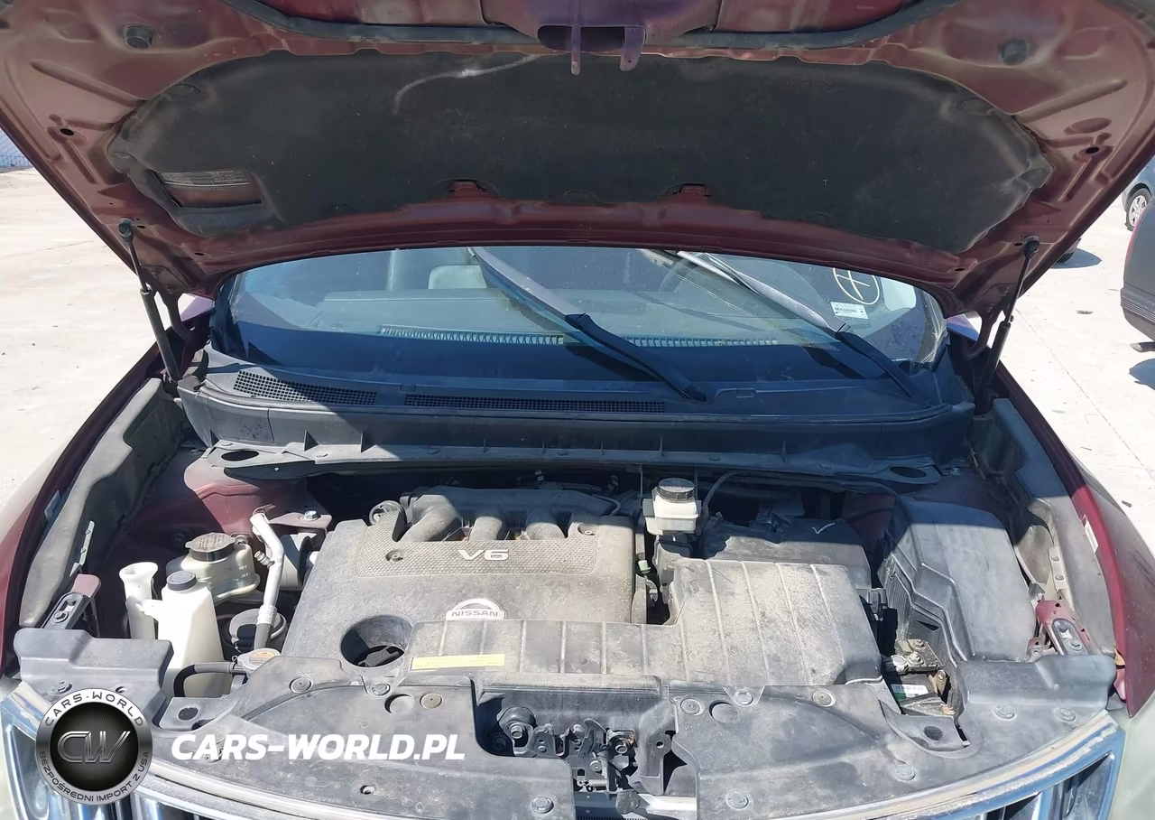 2009 Nissan Murano Sl VIN:JN8AZ18W09W205065 - 10