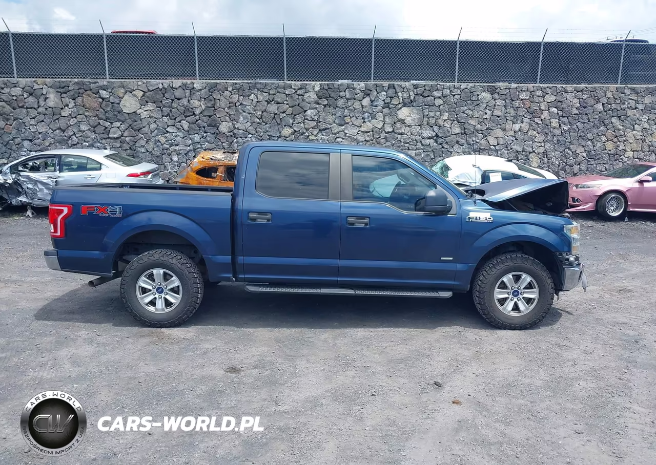 2015 Ford F-150 Xl VIN:1FTEW1EP2FKD98129 - 13