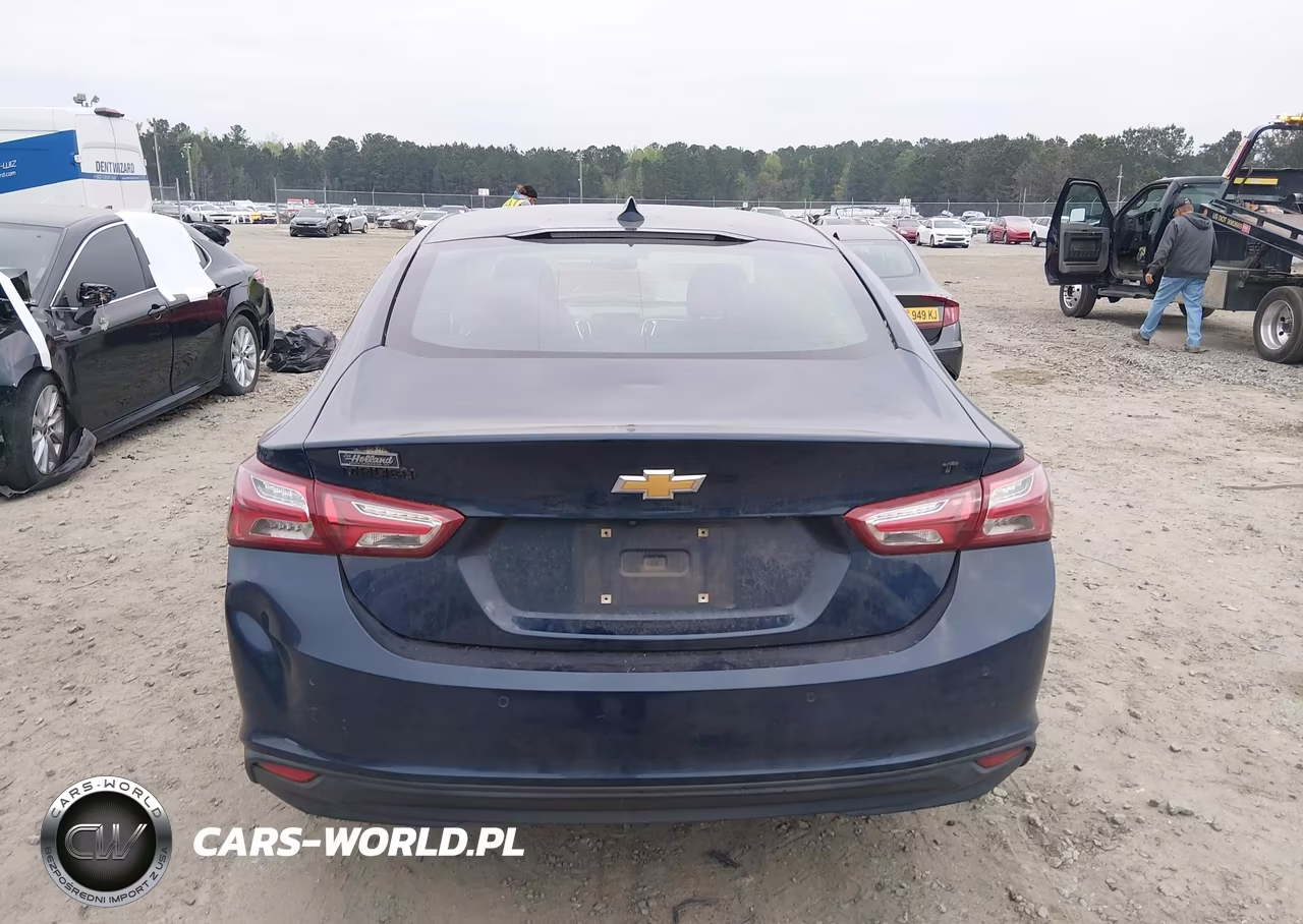 2019 Chevrolet Malibu Lt VIN:1G1ZD5ST1KF124139 - 17