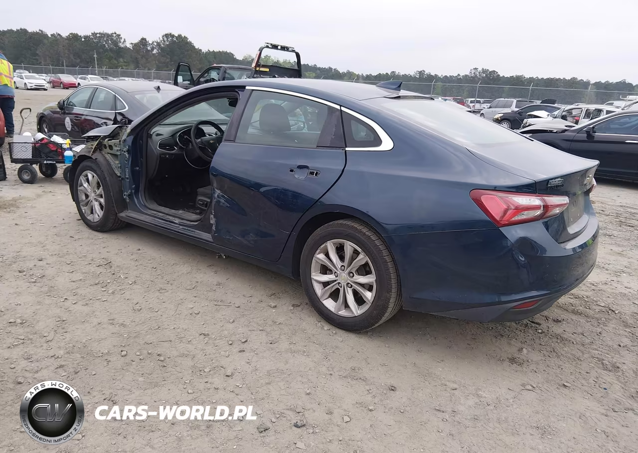 2019 Chevrolet Malibu Lt VIN:1G1ZD5ST1KF124139 - 3