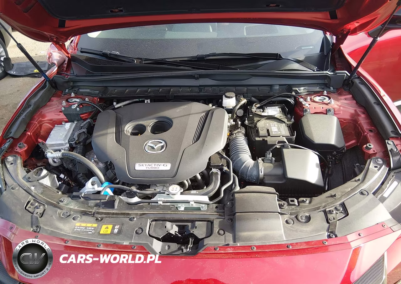 2025 Mazda Cx-50 2.5 Turbo Premium Plus Package VIN:7MMVABEY3SN317502 - 10