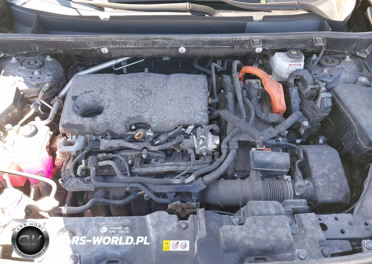 2024 Toyota Rav4 Hybrid Xle VIN:2T3RWRFV8RW218354 - 10