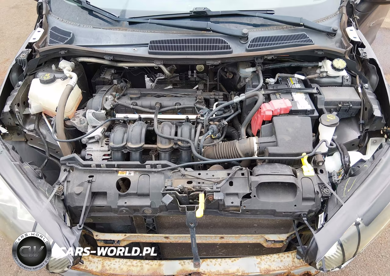 2016 Ford Fiesta Se VIN:3FADP4BJ9GM183762 - 10