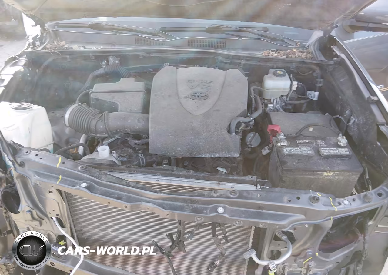 2021 Toyota Tacoma Trd Off-Road VIN:5TFCZ5AN0MX272846 - 10