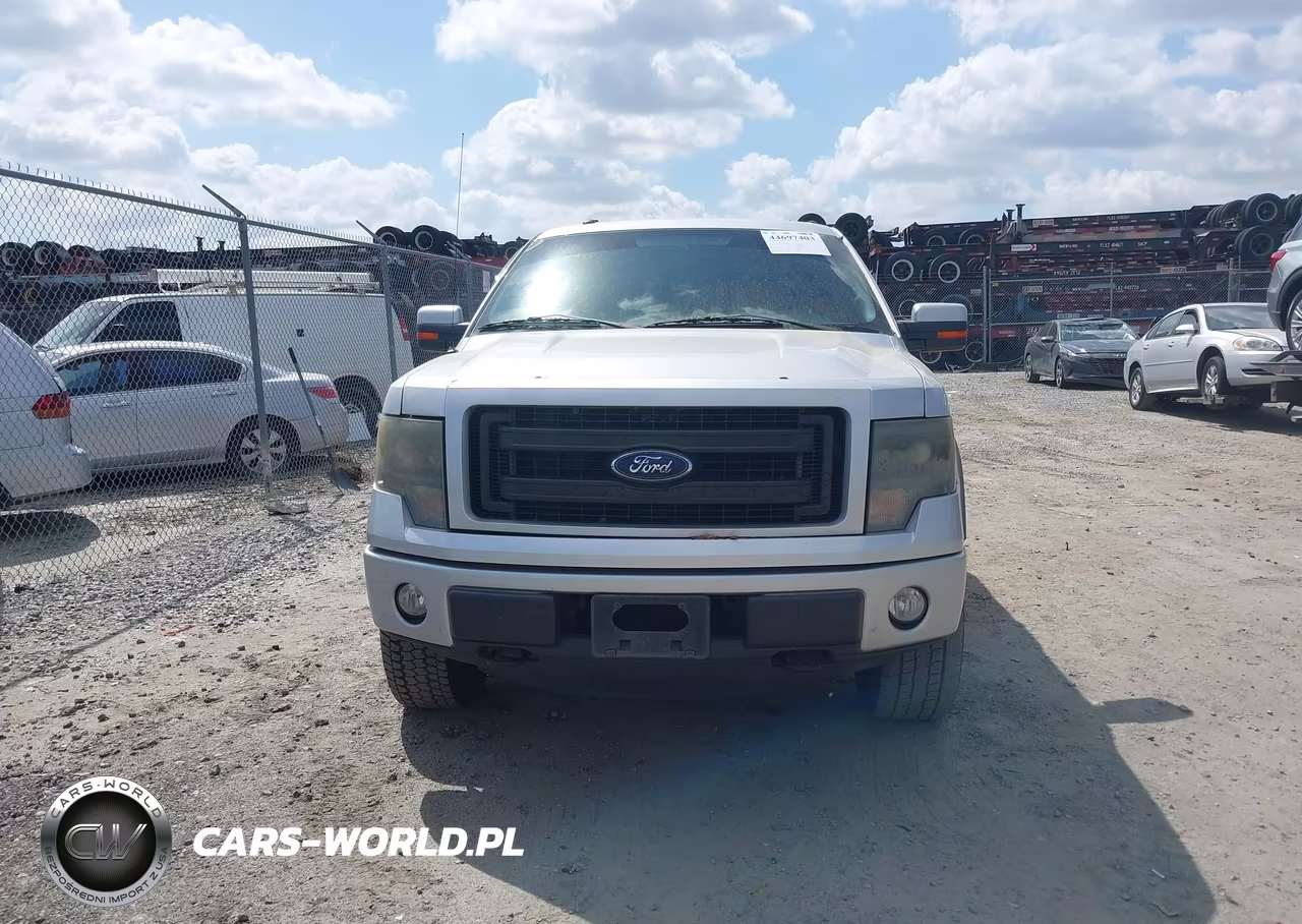 2013 Ford F-150 Fx4 VIN:1FTFW1EFXDKE42967 - 12