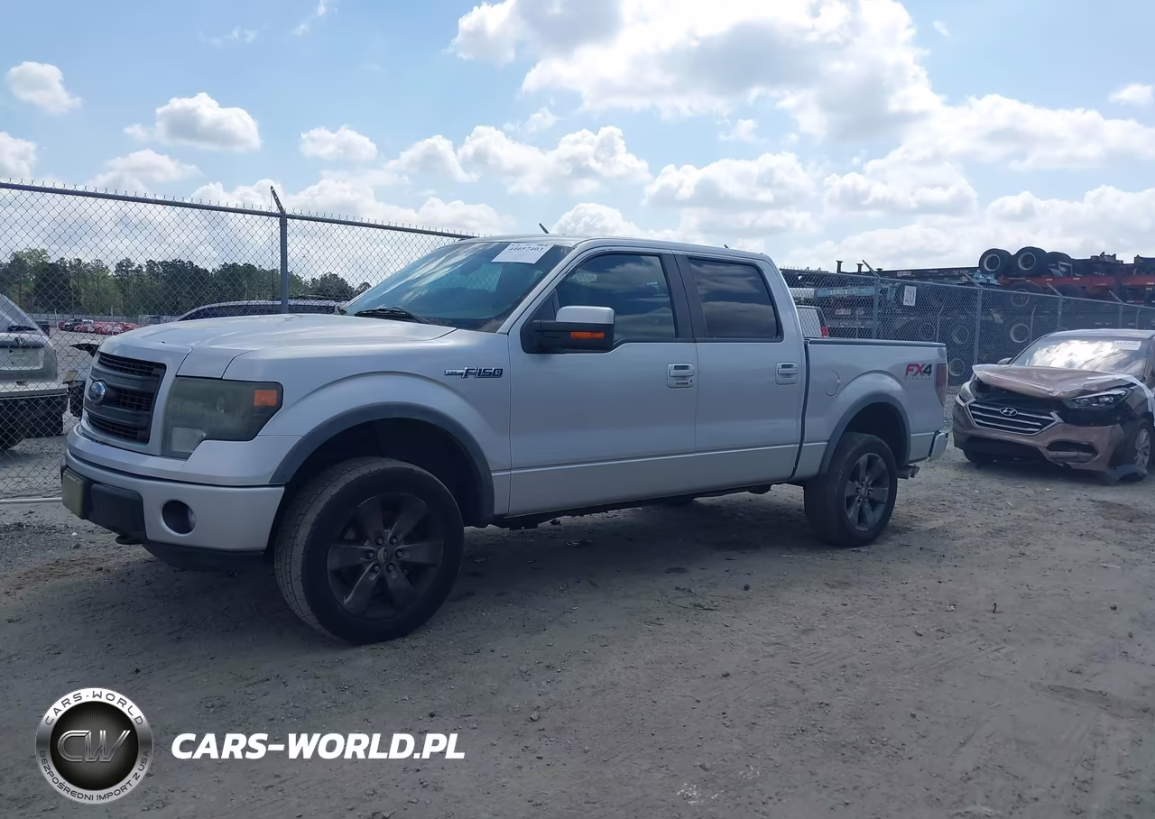 2013 Ford F-150 Fx4 VIN:1FTFW1EFXDKE42967 - 14