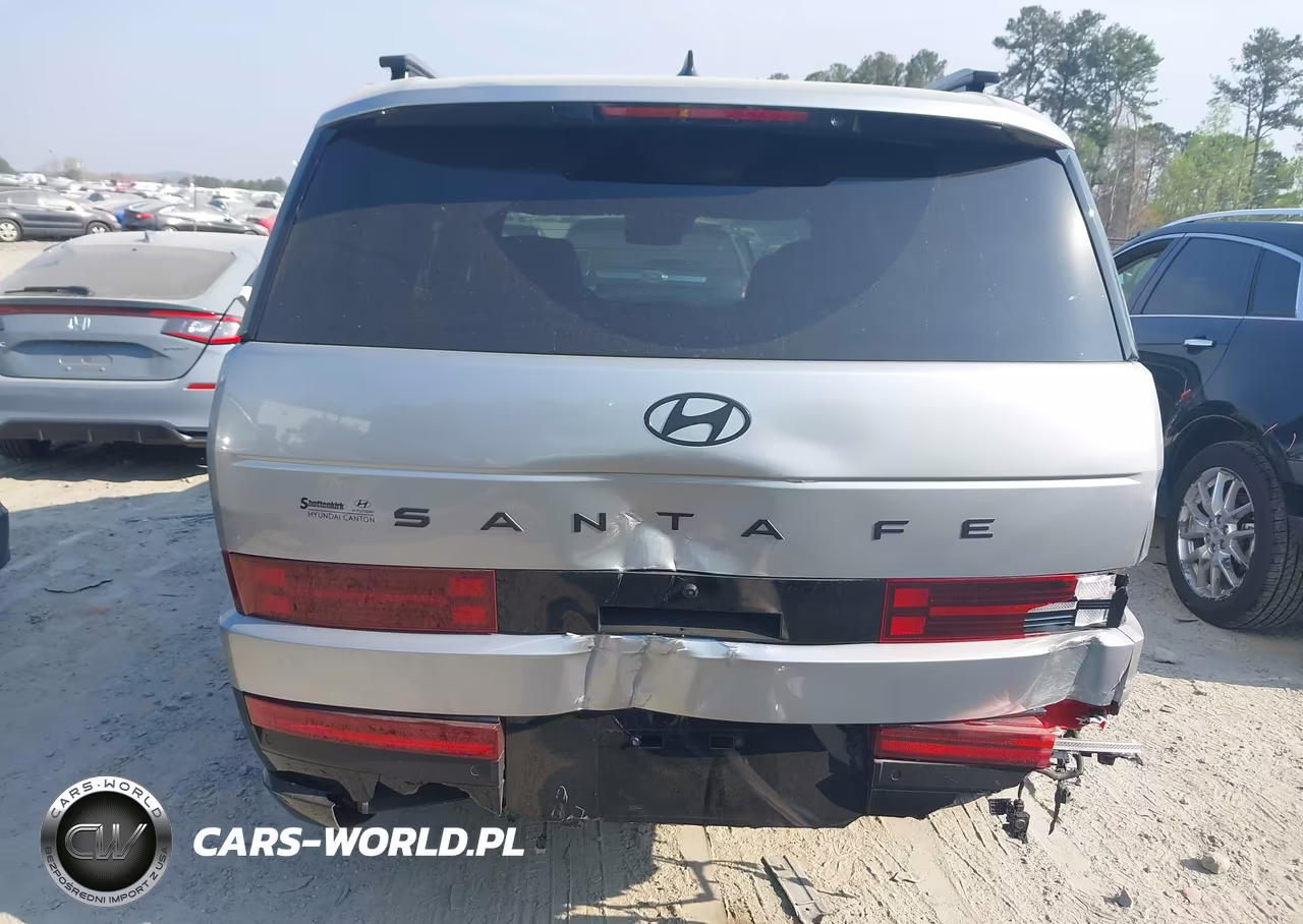 2025 Hyundai Santa Fe Calligraphy VIN:5NMP54GL8SH095899 - 16
