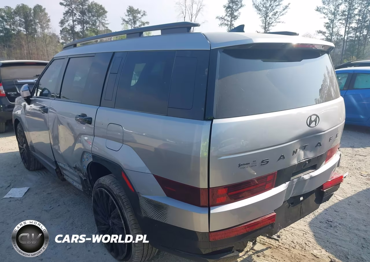 2025 Hyundai Santa Fe Calligraphy VIN:5NMP54GL8SH095899 - 3