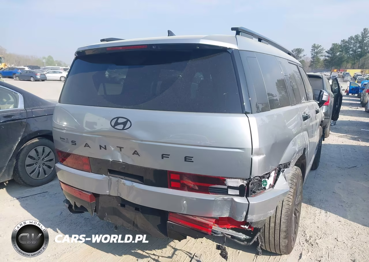 2025 Hyundai Santa Fe Calligraphy VIN:5NMP54GL8SH095899 - 4