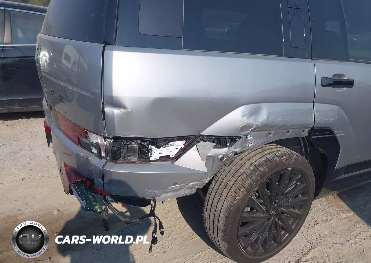2025 Hyundai Santa Fe Calligraphy VIN:5NMP54GL8SH095899 - 6