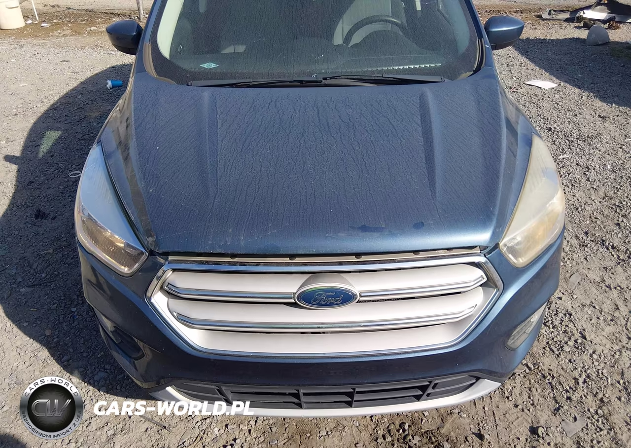 2018 Ford Escape Se VIN:1FMCU0GD4JUB45980 - 12