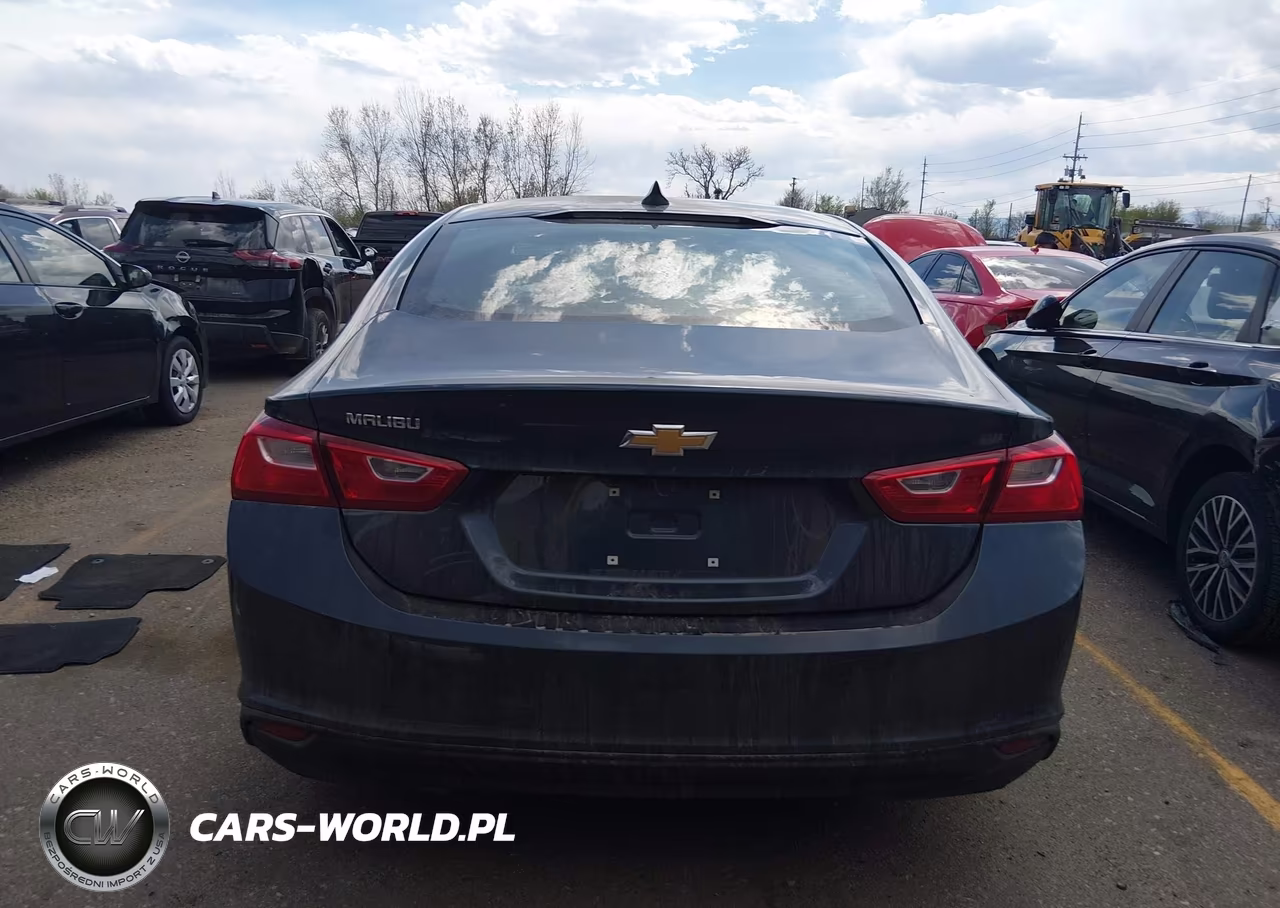 2020 Chevrolet Malibu Fwd Ls VIN:1G1ZB5ST2LF118910 - 16