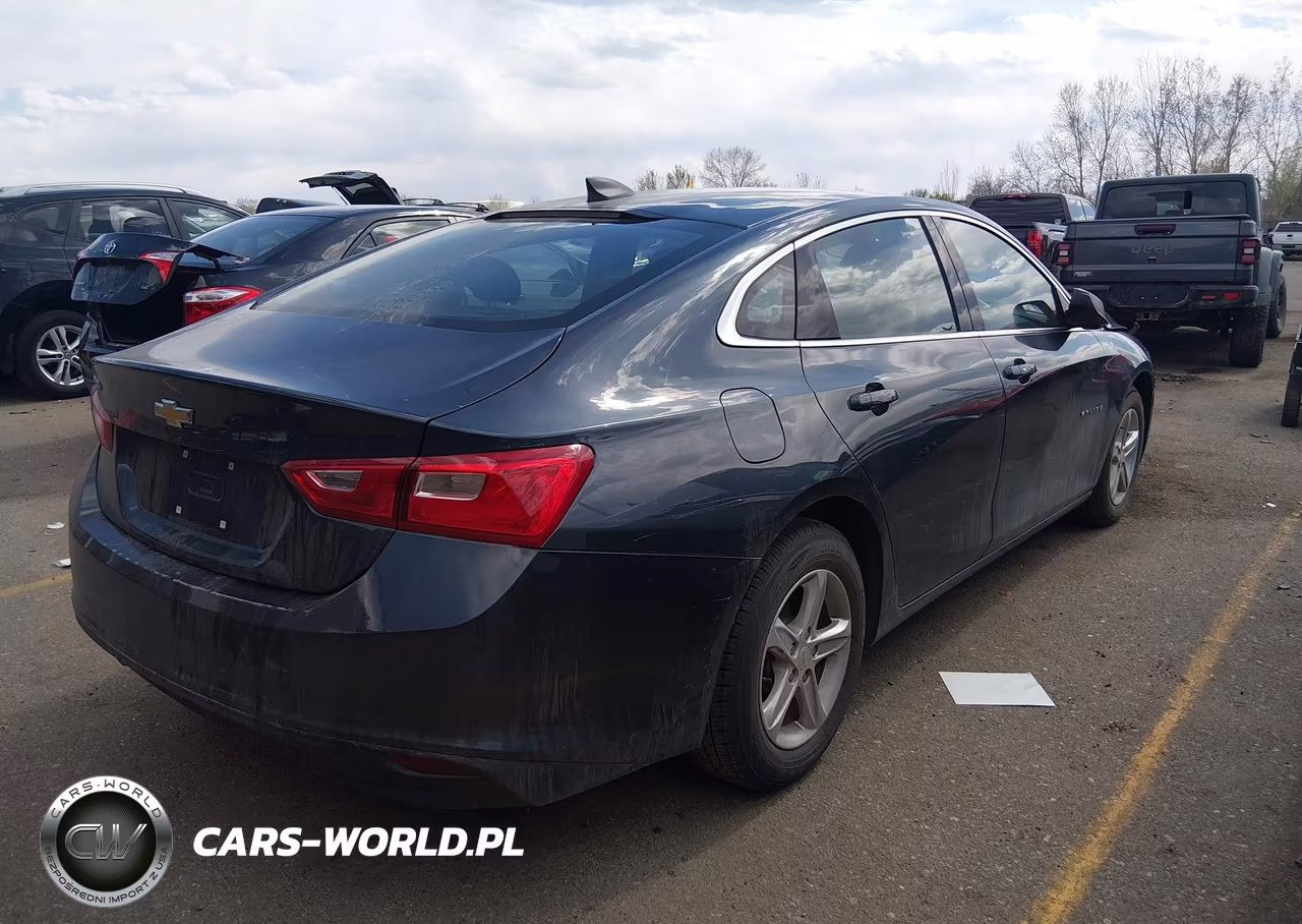 2020 Chevrolet Malibu Fwd Ls VIN:1G1ZB5ST2LF118910 - 4
