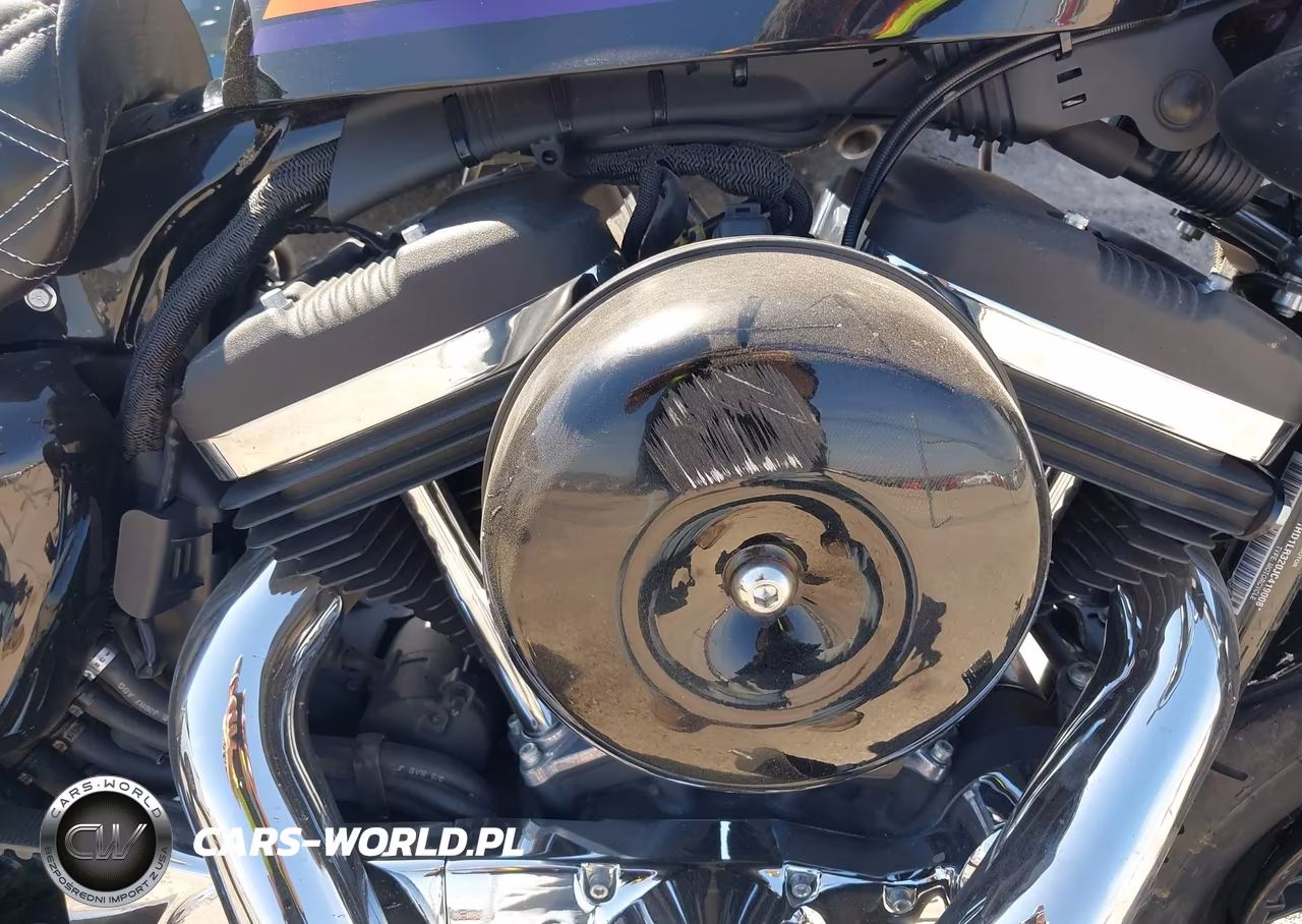 2018 Harley-Davidson Xl1200 Xs VIN:1HD1LR320JC419008 - 8