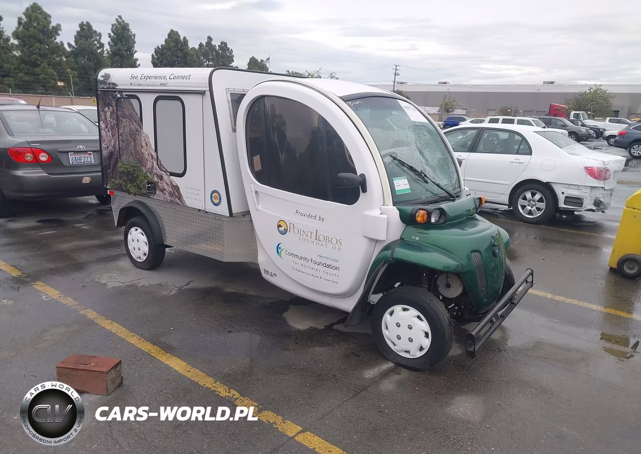 2013 Global Electric Motors Es