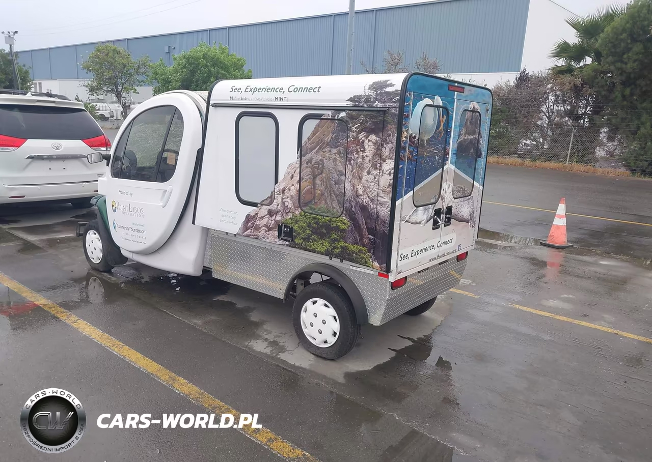 2013 Global Electric Motors Es VIN:52CG2DGA1D0004234 - 3