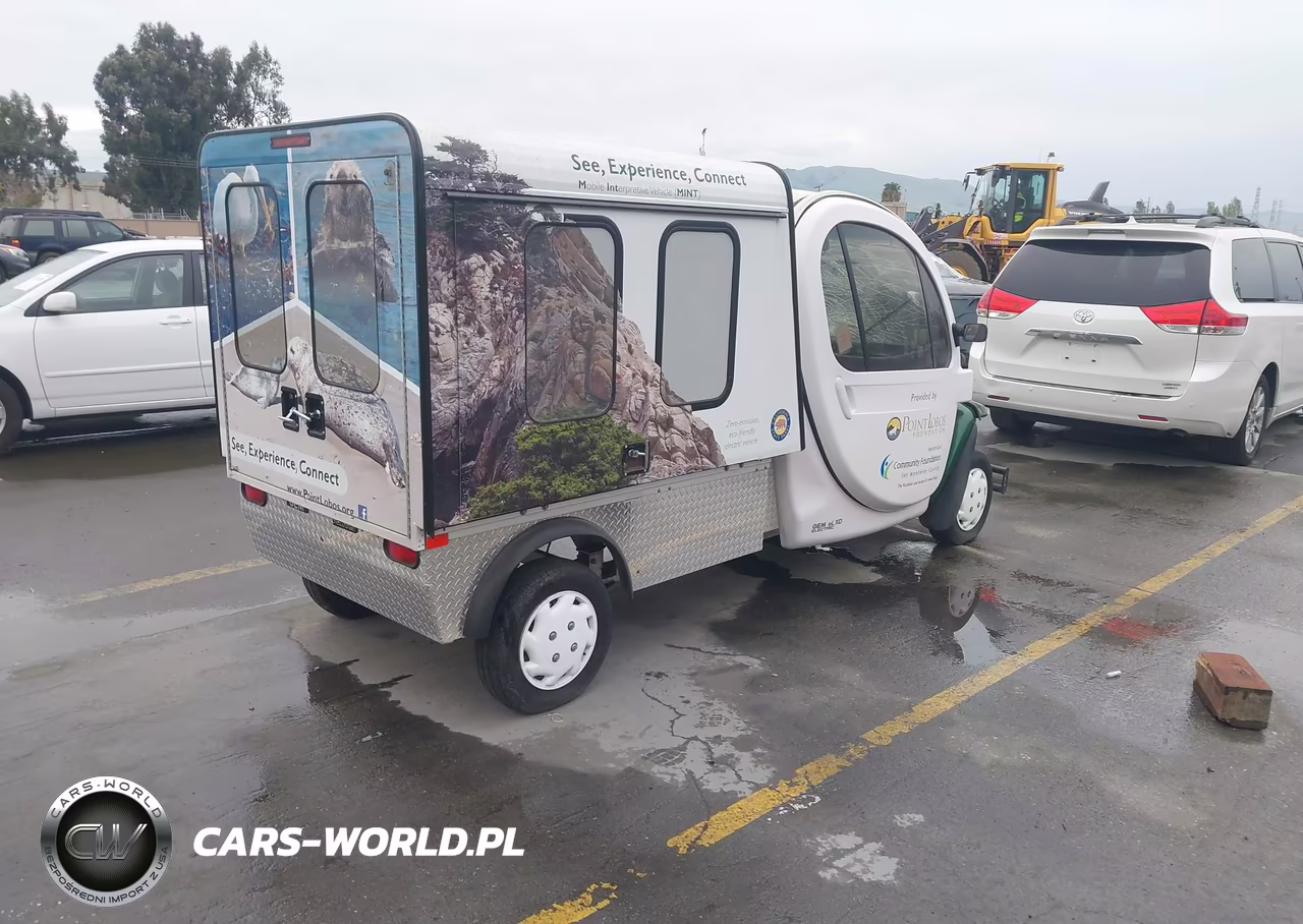 2013 Global Electric Motors Es VIN:52CG2DGA1D0004234 - 4