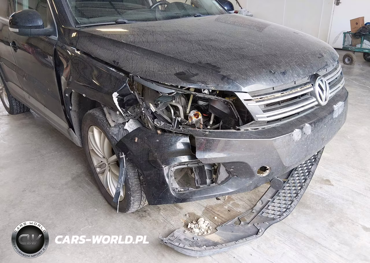 2013 Volkswagen Tiguan Se VIN:WVGAV7AX4DW550424 - 6