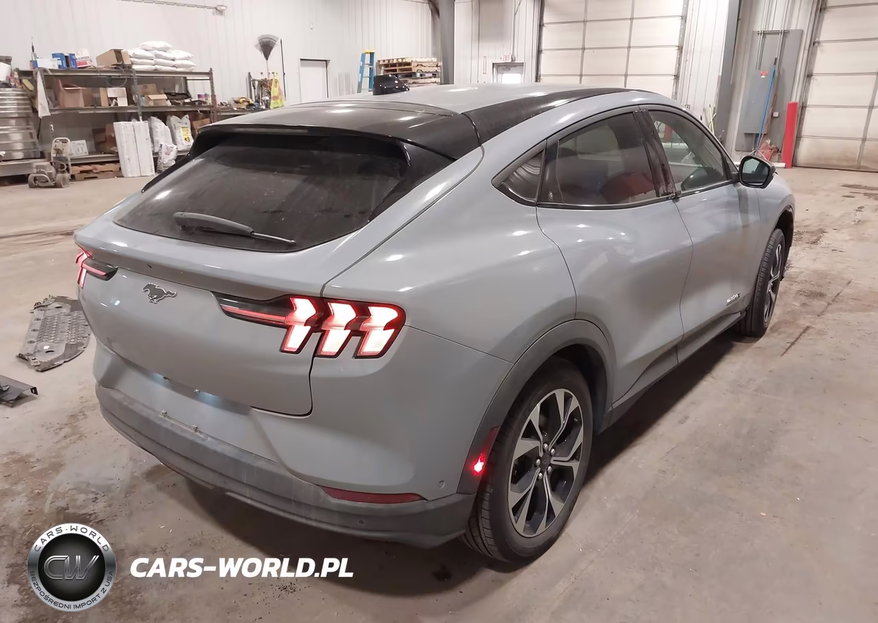 2024 Ford Mustang Mach-E Select VIN:3FMTK1SUXRMA53646 - 4