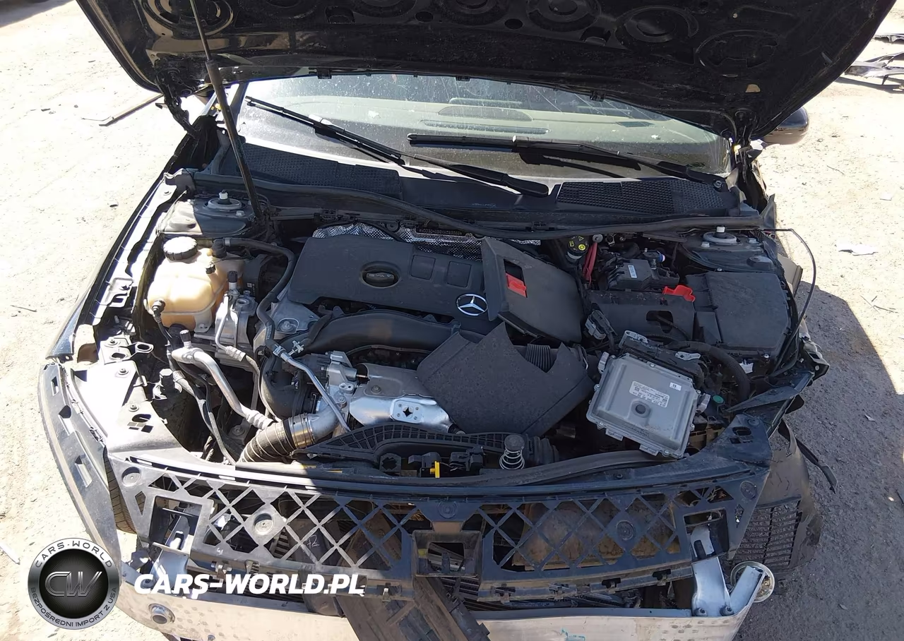 2019 Mercedes-Benz A 220 VIN:WDD3G4EB6KW023086 - 10