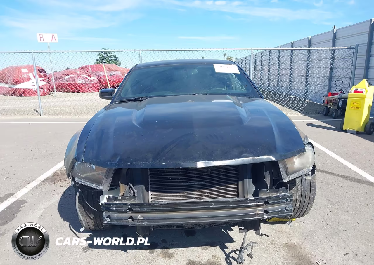 2011 Ford Mustang Gt Premium VIN:1ZVBP8CF7B5133411 - 12
