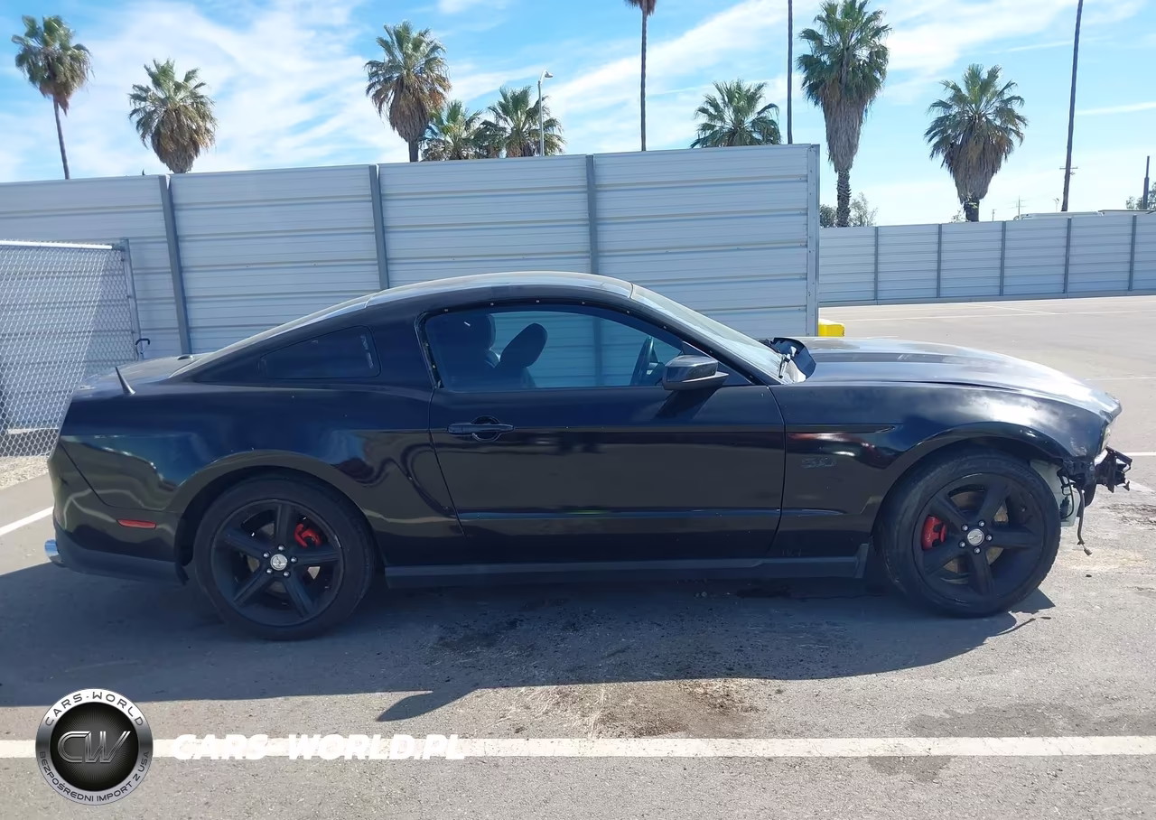 2011 Ford Mustang Gt Premium VIN:1ZVBP8CF7B5133411 - 13