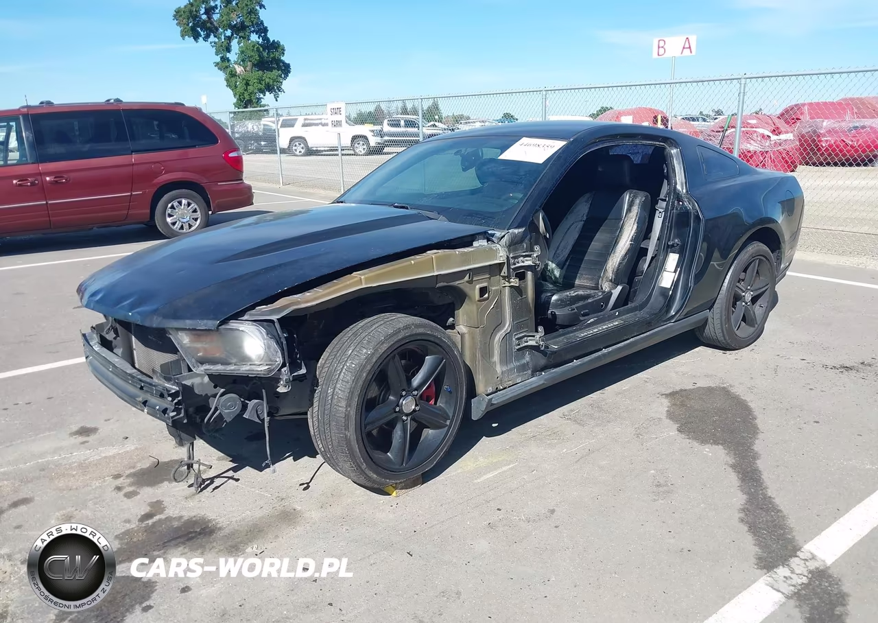 2011 Ford Mustang Gt Premium VIN:1ZVBP8CF7B5133411 - 2