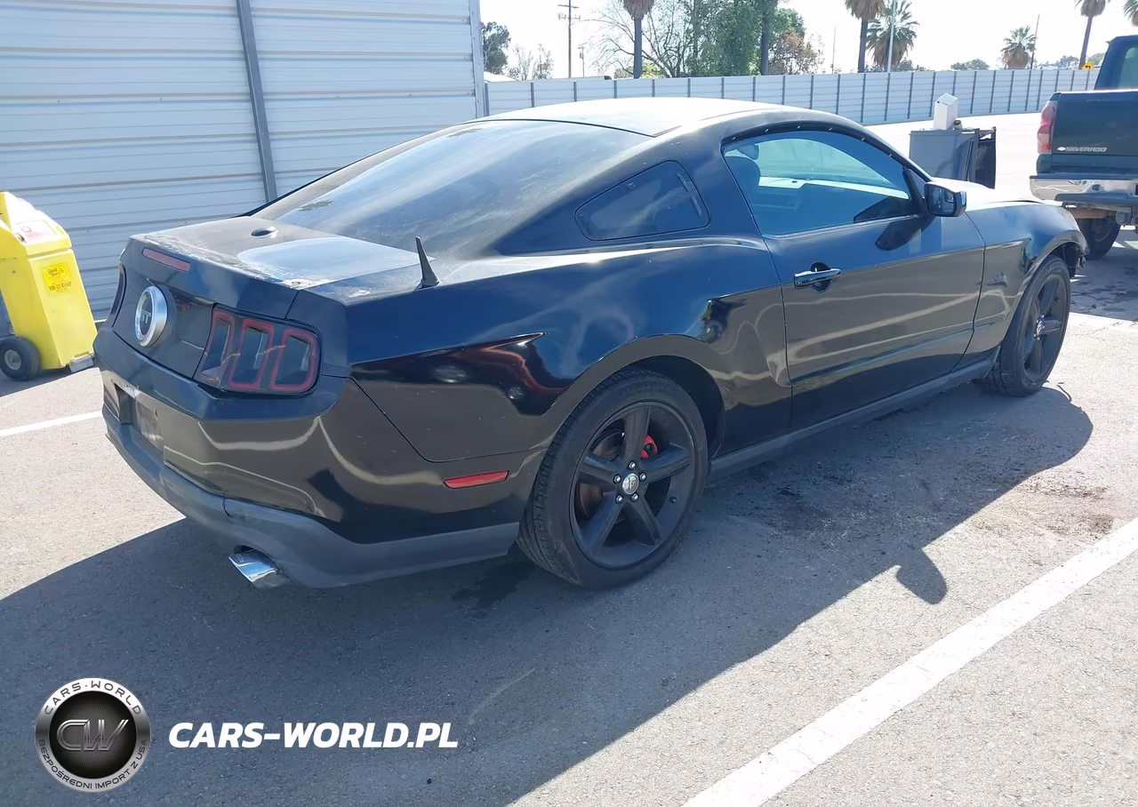 2011 Ford Mustang Gt Premium VIN:1ZVBP8CF7B5133411 - 4