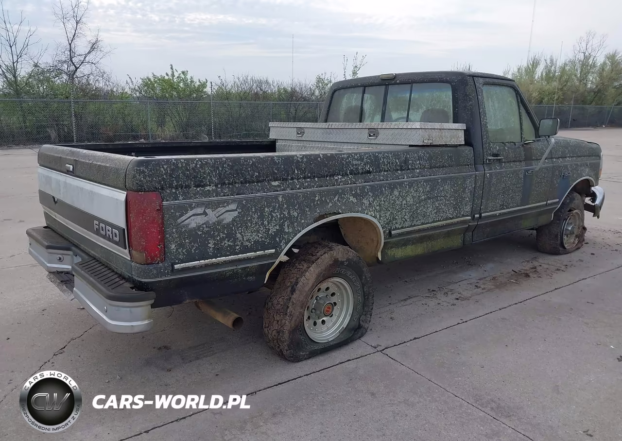 1992 Ford F150 VIN:1FTEF14N2NLA41686 - 4