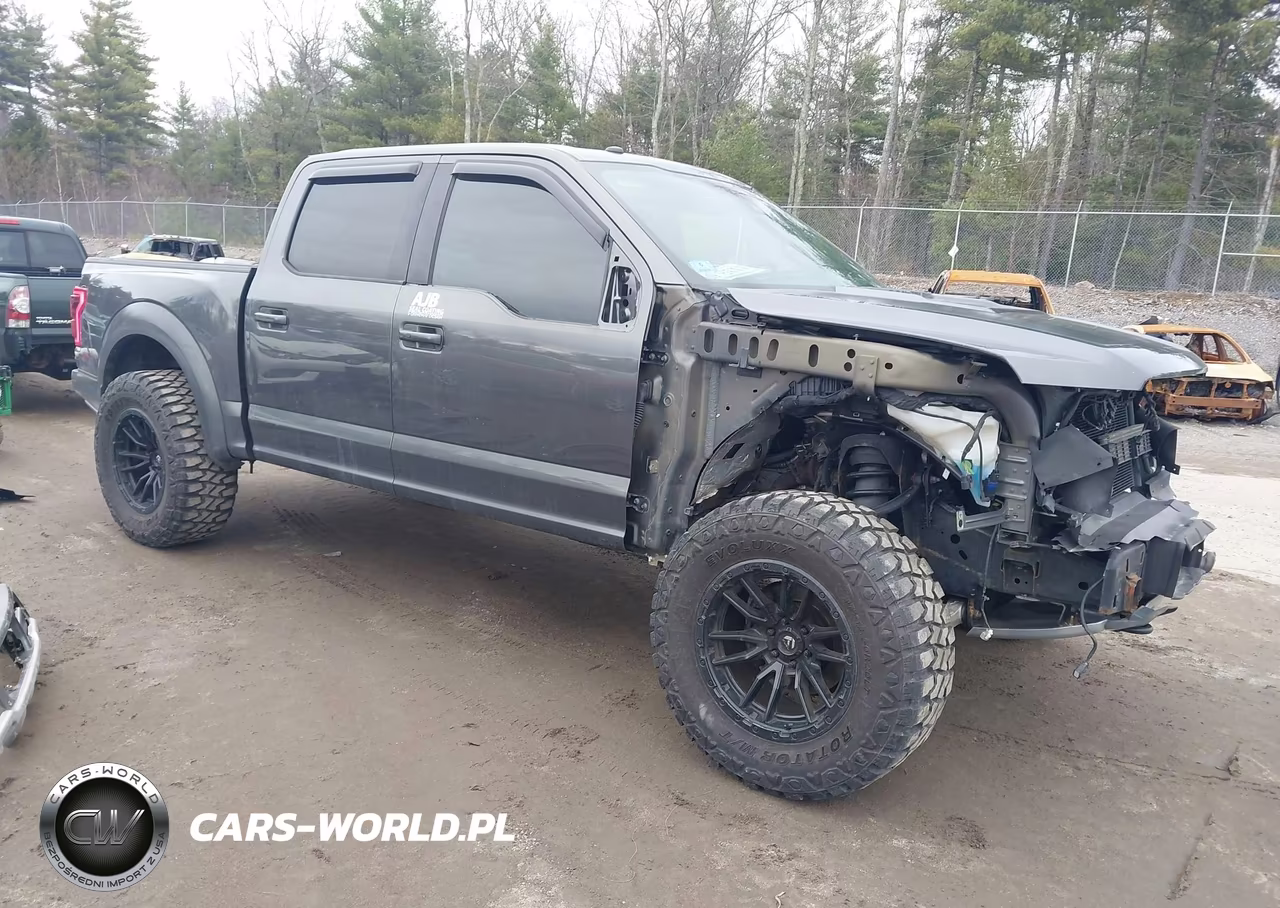 2018 Ford F-150 Raptor – zdjęcie 1 z 17