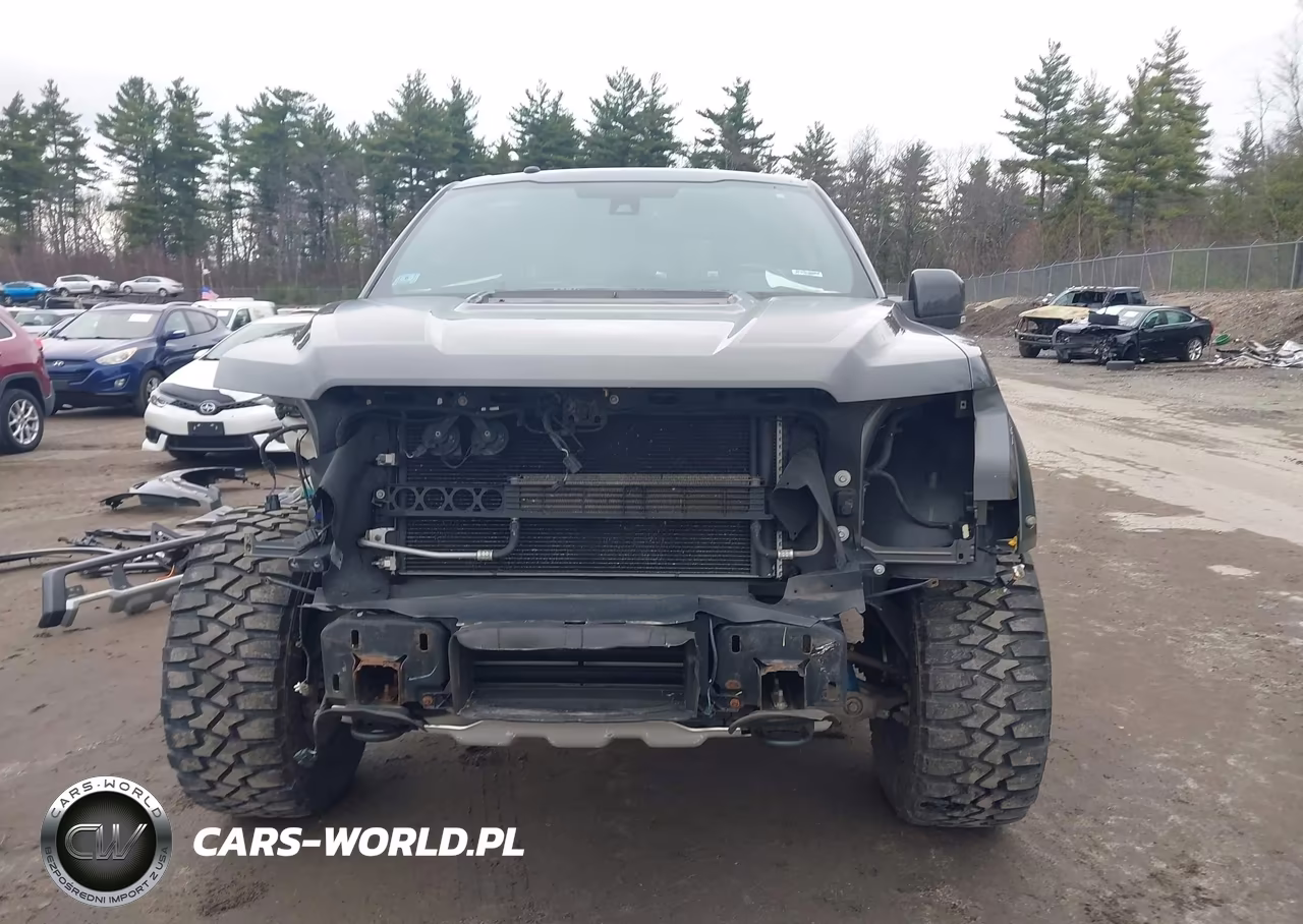2018 Ford F-150 Raptor VIN:1FTFW1RG5JFC86490 - 13