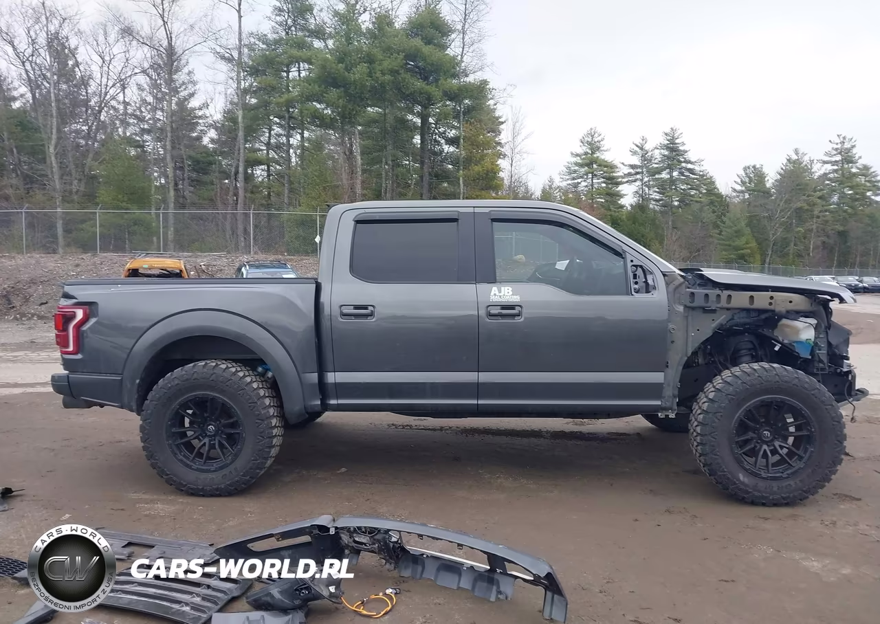 2018 Ford F-150 Raptor VIN:1FTFW1RG5JFC86490 - 14