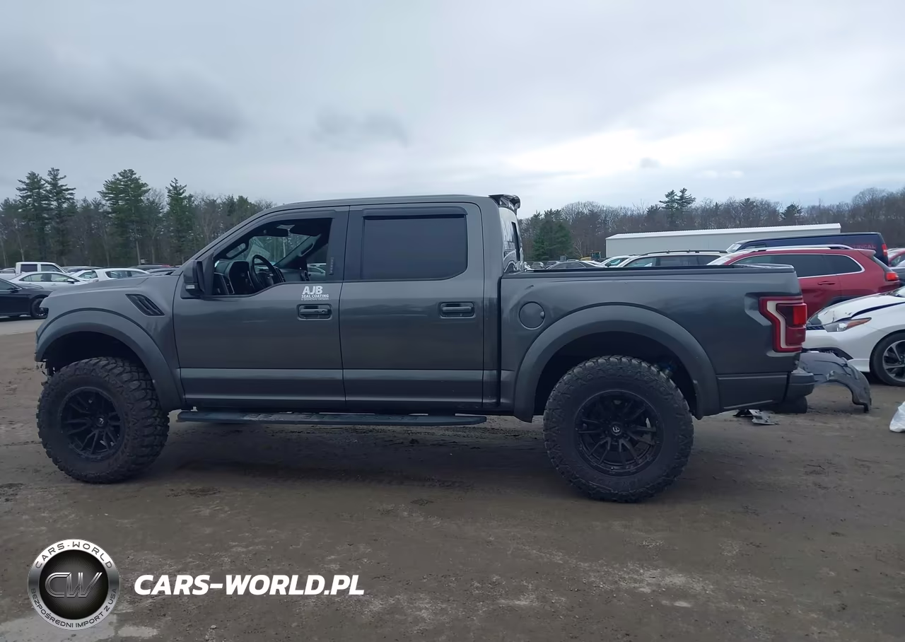 2018 Ford F-150 Raptor VIN:1FTFW1RG5JFC86490 - 15