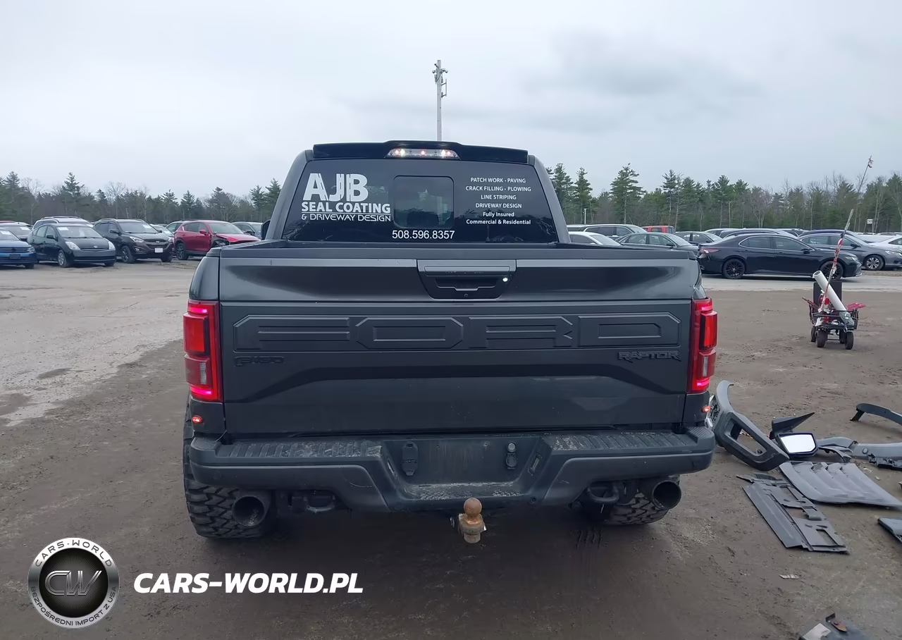 2018 Ford F-150 Raptor VIN:1FTFW1RG5JFC86490 - 17