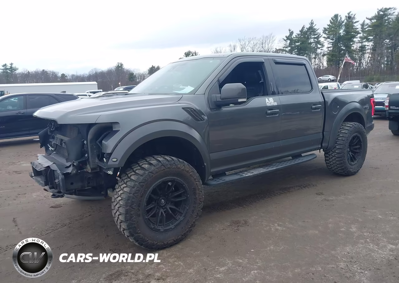 2018 Ford F-150 Raptor VIN:1FTFW1RG5JFC86490 - 2